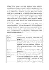 Informacinės sistemos kūrimo projektavimo proceso valdymas 3 puslapis