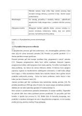 Informacinės sistemos kūrimo projektavimo proceso valdymas 4 puslapis