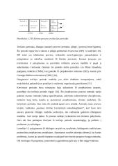 Informacinės sistemos kūrimo projektavimo proceso valdymas 5 puslapis