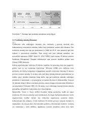 Informacinės sistemos kūrimo projektavimo proceso valdymas 9 puslapis