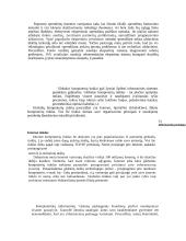 Informacinės valdymo sistemos. Konspektas 3 puslapis