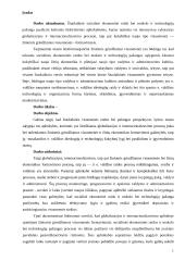 Informacinės visuomenės viešoji politika Lietuvoje 2 puslapis