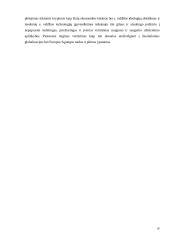 Informacinės visuomenės viešoji politika Lietuvoje 18 puslapis