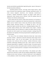 Transporto rinkodaros veiksmų informatizacijos galimybės 3 puslapis