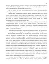 Informacinių sistemų vaidmuo darant valdymo sprendimus 11 puslapis