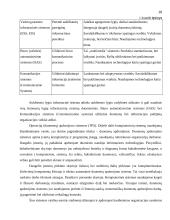 Informacinių sistemų vaidmuo darant valdymo sprendimus 18 puslapis