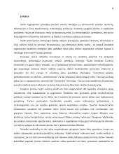 Informacinių sistemų vaidmuo darant valdymo sprendimus 6 puslapis