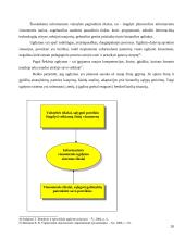 Įmonės IT konkurencingumas ir jo ugdymas 20 puslapis