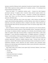 Įmonės IT konkurencingumas ir jo ugdymas 6 puslapis