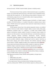 Informacinių technologijų naudojimas apskričIų viršininkų administracijose 20 puslapis