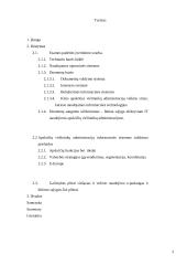 Informacinių technologijų naudojimas apskričIų viršininkų administracijose 3 puslapis