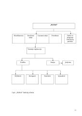 Informacinių technologijų panaudojimas apskričių viršininkų administracijoje  11 puslapis