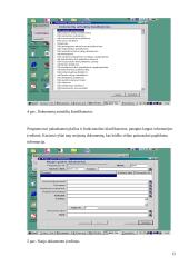 Informacinių technologijų panaudojimas apskričių viršininkų administracijoje  12 puslapis