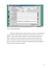 Informacinių technologijų panaudojimas apskričių viršininkų administracijoje  13 puslapis