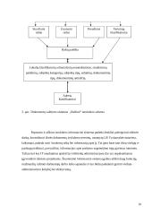 Informacinių technologijų panaudojimas apskričių viršininkų administracijoje  10 puslapis