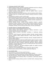 Mokyklos dabarties ir jos vizijos apibūdinimas: Vilniaus Ozo vidurinė mokykla 5 puslapis