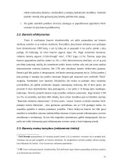Elektroninis marketingas. Rūšys bei ypatumai 11 puslapis
