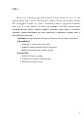 UAB „Kotryna“ veiklos ir informacijos šaltinių apžvalga 2 puslapis