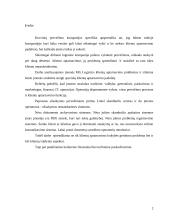 Organizacijos informacinė sistema, jos pristatymas 2 puslapis