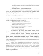 Organizacijos informacinė sistema, jos pristatymas 11 puslapis