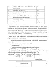 Organizacijos informacinė sistema, jos pristatymas 15 puslapis