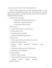 Organizacijos informacinė sistema, jos pristatymas 3 puslapis