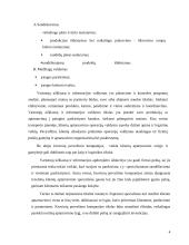 Organizacijos informacinė sistema, jos pristatymas 4 puslapis