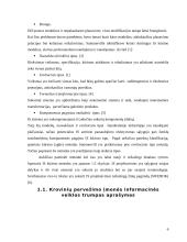 Organizacijos informacinė sistema, jos pristatymas 6 puslapis