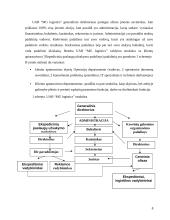 Organizacijos informacinė sistema, jos pristatymas 8 puslapis