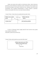 Policijos ryšiai su visuomene. Referatas 20 puslapis
