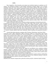 Proto nutekėjimas