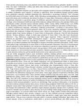 Proto nutekėjimas 3 puslapis