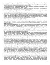 Proto nutekėjimas 5 puslapis