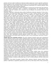 Proto nutekėjimas 7 puslapis