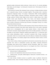 Sprendimų paramos informacinės sistemos darbas 11 puslapis