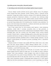 Sprendimų paramos informacinės sistemos darbas 6 puslapis