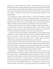 Sveikatos apsaugos informacinės sistemos 13 puslapis