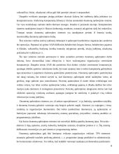 Sveikatos apsaugos informacinės sistemos 6 puslapis