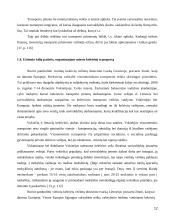 Viešojo transporto el. priemonių įtaka  12 puslapis