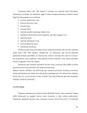 Žinių ir informacijos vadyba 11 puslapis