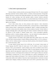 Žinių vadyba organizacijoje  4 puslapis