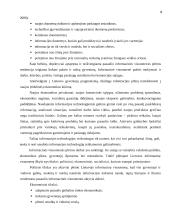 Žinių vadyba organizacijoje  9 puslapis