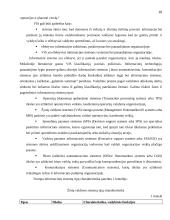 Žinių valdymo tobulinimas "UAB MG logistics" 16 puslapis