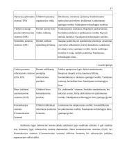 Žinių valdymo tobulinimas "UAB MG logistics" 17 puslapis