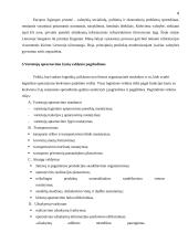 Žinių valdymo tobulinimas "UAB MG logistics" 6 puslapis