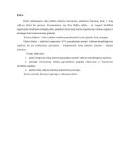 Žinių vadyba, komunikacija 2 puslapis