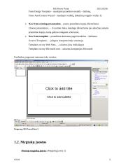 Pateikčių programa Microsoft Power Point. Bendrieji darbo principai. Skaidrės elementų kūrimas 5 puslapis