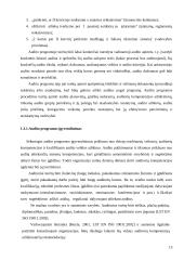 ES struktūrinės paramos vidaus auditas dabar 13 puslapis