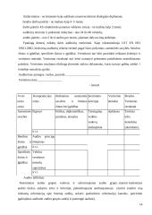 ES struktūrinės paramos vidaus auditas dabar 14 puslapis