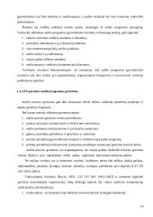 ES struktūrinės paramos vidaus auditas dabar 16 puslapis